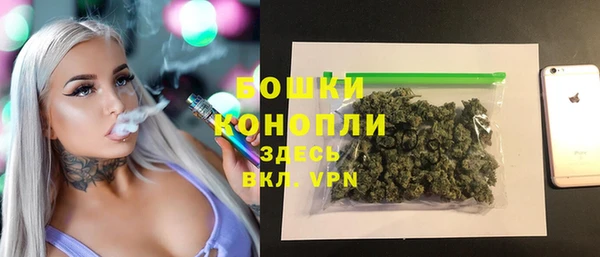 амф Козловка