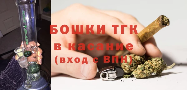 амф Козловка