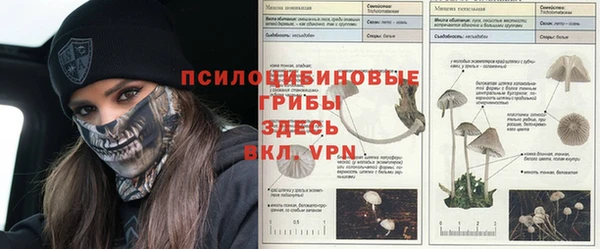 скорость Кинешма