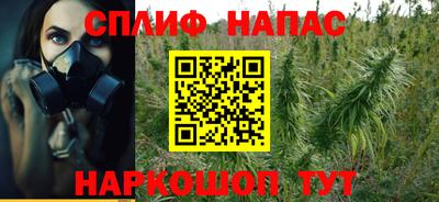 молекула духа Донской