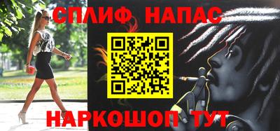 spice Дубна