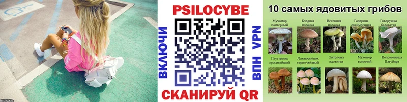 Псилоцибиновые грибы MAGIC MUSHROOMS  Коммунар 